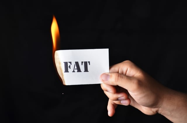 burn-fat-fast2