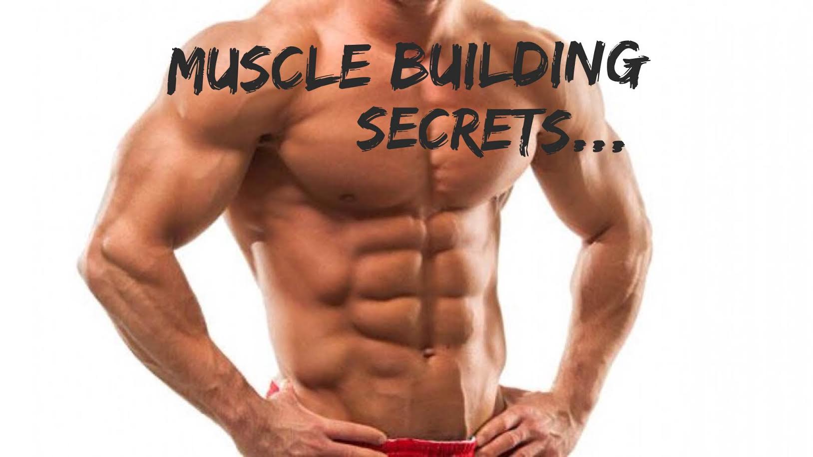 50 Muscle Building Tips Everything You Need To Know About Adding Mass