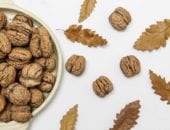 Can Protein Pacing Take Your Fitness to Higher Ground?