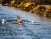 Rowing Machine vs Other Cardio Workouts