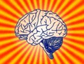 5 Nootropics That Can Promote Sharper Cognitive Function