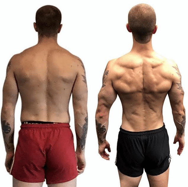 before and after body fat percent