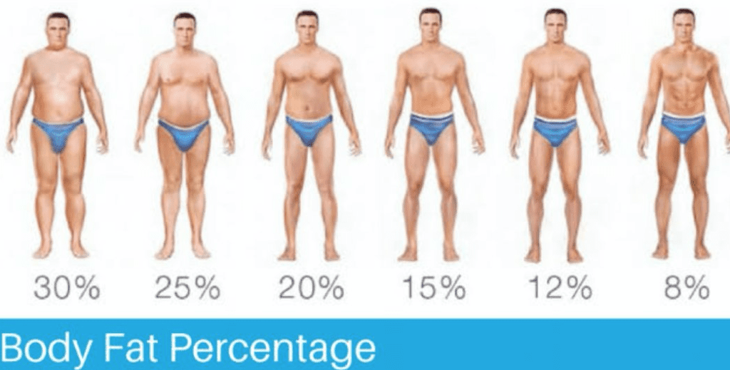 Fat to fit fitness training - Body fat percentage • • • #body #fat #gym  #workout #diet #lean #ripped