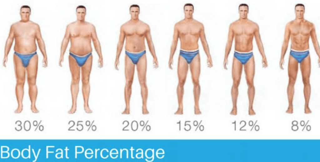 What Body Fat % Do I Need to Be?