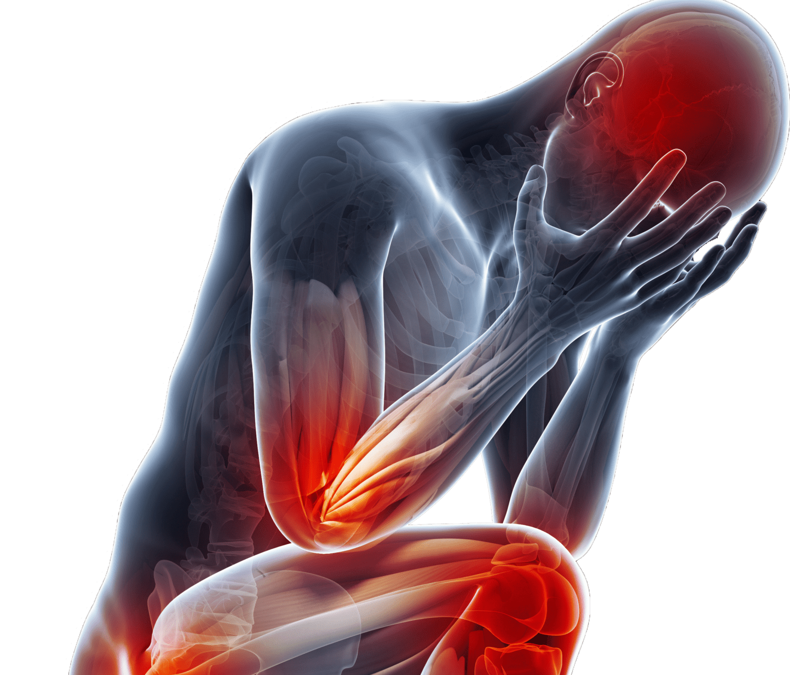 Muscle And Joint Pain With Fatigue And Dizziness at David Ferrell blog