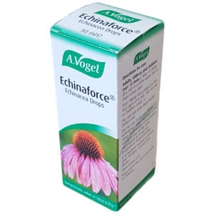 Echinacea for bodybuilders 